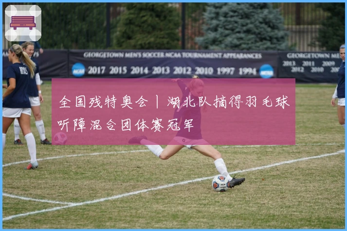 全国残特奥会丨湖北队摘得羽毛球听障混合团体赛冠军
