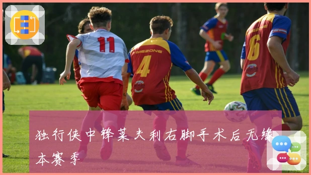 独行侠中锋莱夫利右脚手术后无缘本赛季