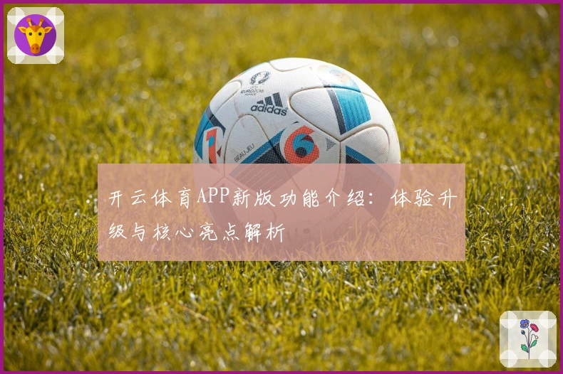 开云体育APP新版功能介绍：体验升级与核心亮点解析